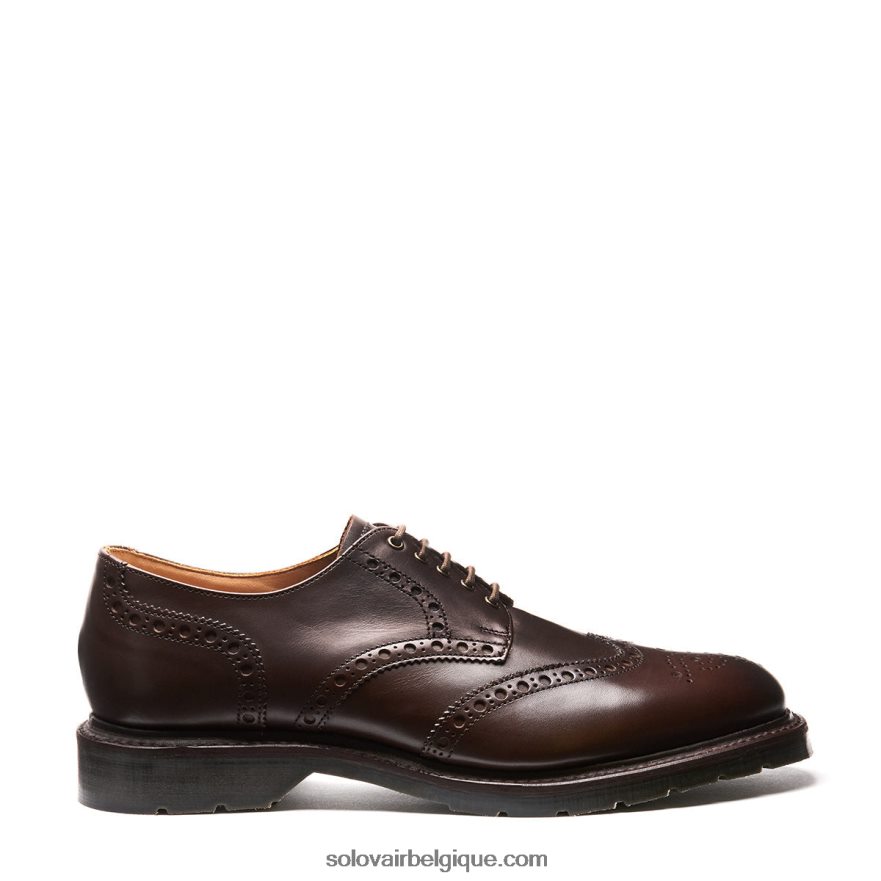 Homme Solovair Brogue Gibson à 5 œillets En Noyer 48f40r172